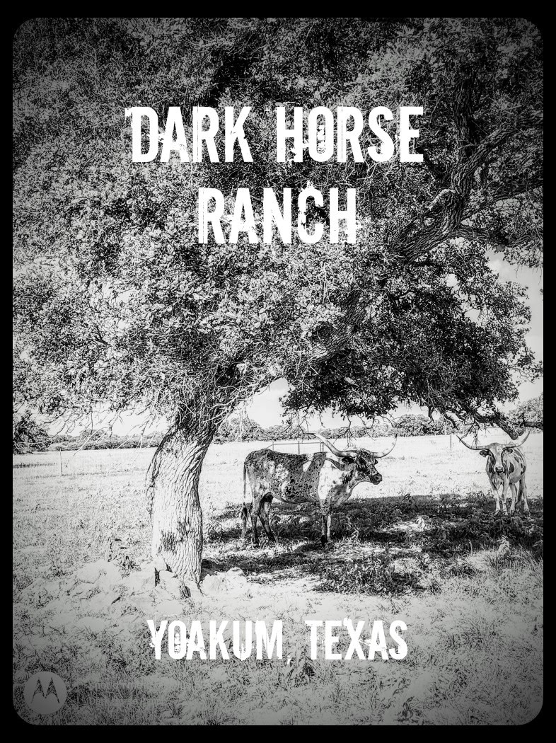 Dark Horse Ranch Yoakum brand mark